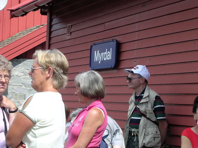 Myrdal到着。やっぱり乗り換えの人はたくさんいました。強い日差しの中、しばらく待っているとやっと来ました！フロム鉄道！<br />席の争奪戦はかなり激しかったです。でも最終的に立ってる人いなかったから結局みんな座れたみたい。私が滑り込んだボックス席は、一人旅のかわいい女の子と、往復で乗ってきたご夫婦。私とその女の子が座ったら奥様のほうが「私たち、もう乗ってきたから窓側座る？」と窓側を譲ってくれました。いい人だ。<br /><br />（でも最後まで乗って思いましたが、Myrdalから乗る場合、左側のほうが景色いいかも。）