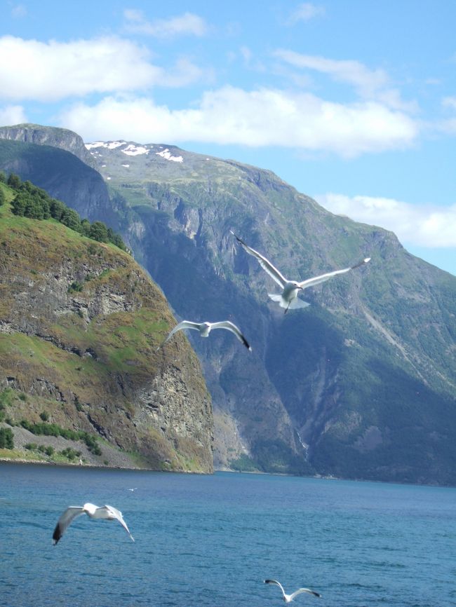 かもめも着いて来れない速さでフィヨルドを進んでいきます。