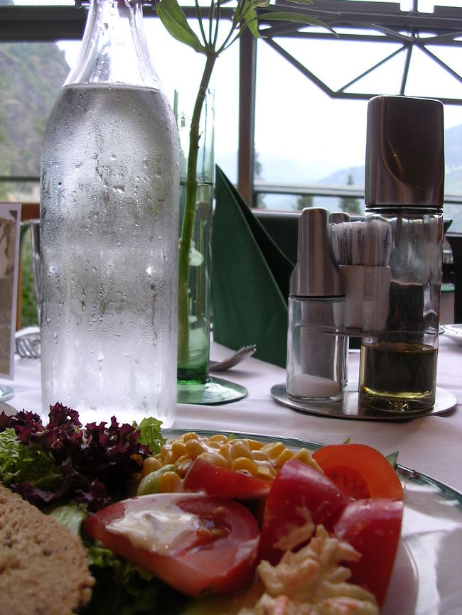 アラカルトとブッフェとどっちがいいか、ってことだったのですが、せっかくなのでブッフェ。ホテルのレストランだからなに食べても高いんだろうな、とは思ってたけど、ブッフェＮｋｒ３７５だった！一人での食事では最高額になったかも。<br /><br />１番目のお客さんはブッフェじゃなかったみたいで、私がブッフェ一番乗り！どれを見ても手がつけられていない。それも気分いいんだけど、ちょっとわからない食べものがあると、取りかたがわからないんです。ま、しかたないので、適当に取って。。。<br /><br />トナカイは食べられなくはないですが、かなりくせがあります。サケは最近苦手になってきたせいか生臭さが。。。（別にここのレストランだから、というわけではありません。私が最近ちょっと。。。）<br />しかし、デザートはおいしかったです！！プリンは濃厚でおいしい。イチゴが乗って、ナッツものっている小さなケーキが一番おいしかったです。チョコムースも甘すぎずなかなかおいしかった。<br /><br />席もレストラン内では最上の席でしたよ。<br />写真はうまく撮れてないけど、テーブルの前は全面ガラス張りで、外が見える作り。<br /><br />普段一人で食事してても３０分くらいで終わっちゃうけど、ふと気づくと１時間半近く経っていた。