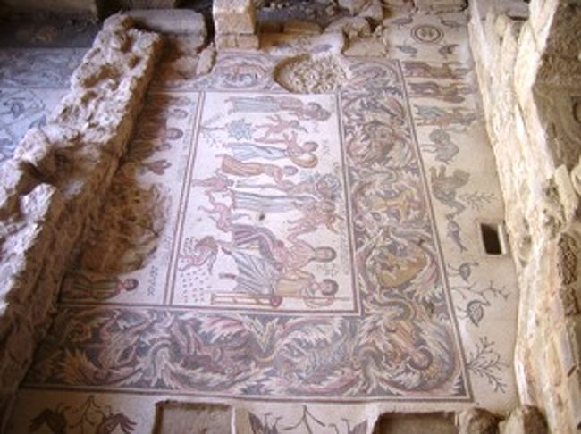 処女教会<br />マダバで最初に発掘された教会。モザイクが民家から出てきた。確かに教会の上に<br />現在の町並みが建っている様で一段低くなっている。<br />此処のモザイクは綺麗に残り、狩猟の様子や動物植物等が良く判る。<br />此処で買った入場券で次の殉教者教会も見られるので大切に！<br /><br />