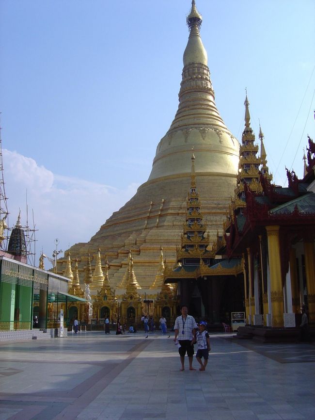 でかい。そしてキラキラ。