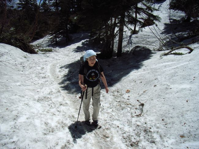【残雪登山の勇者】<br /><br />　ジャキジャキ、滑る。<br />そして、太陽の光に反射して<br />眩しいよぉ。<br /><br />　木道を歩いていたときは、<br />長袖のはずでした。<br /><br />　この雪道では、熱くて頭を<br />タオルでしばり、半袖で、<br />ひたすら雪山を登りました。<br /><br />　尾瀬は木道だからと言って、<br />スニーカー歩行では、想像以上に<br />体力を消耗します。<br /><br />　是非、登山靴でいかれた方が<br />いいでしょう。