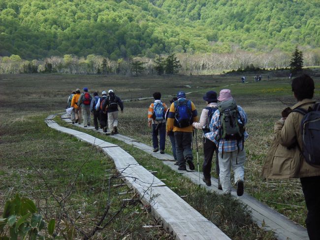 【尾瀬の木道】<br />　なんと！<br />ちょっと頑張って進むと、<br />あの有名な木道が<br />どこまでも、続いてるでは<br />ありませんか。<br /><br />　まず最初の感動場面です。<br /><br />　東京電力さん、維持管理<br />お世話様です。（※1）<br /><br />※1の詳細については以下<br />の通りです。<br />http://www.tepco.co.jp/eco/area/oze/index-j.html<br /><br /><br /><br />　<br /><br /><br /><br />　