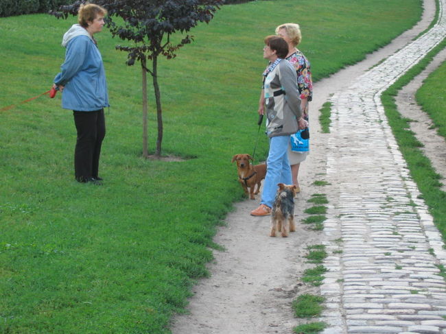 ここでワンコと散歩なんて犬も飼い主も幸せだ！