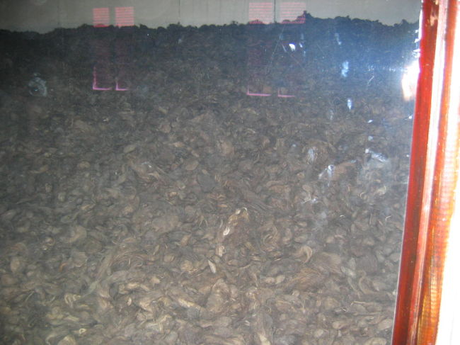 人間の髪の毛。<br />繊維として使い、じゅうたんとかにしていたらしい。<br />ドイツ人が考えそうなことだ。