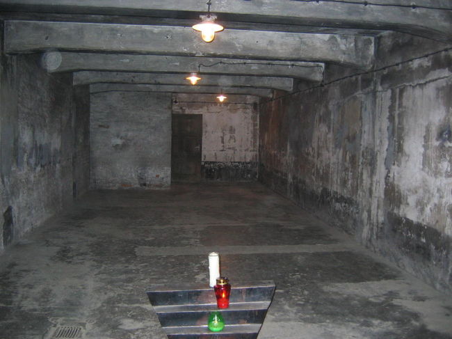 ガス室<br />ユダヤ人にシャワーと言って詰め込んで一気に虐殺