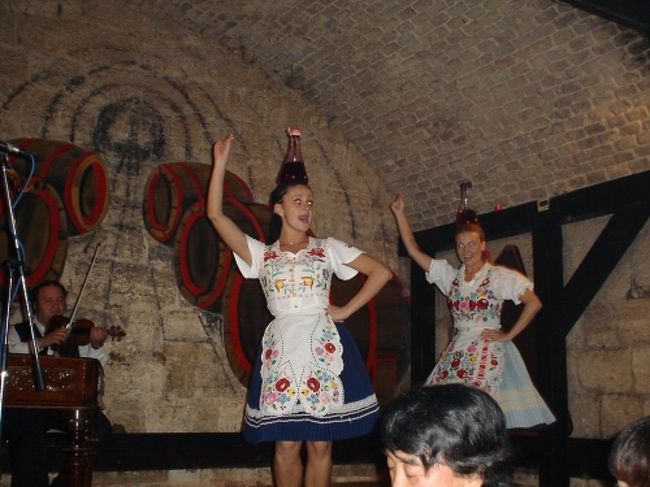 入り口の方には巨大なワイン樽を<br />部屋にした、席もありましたので、<br />ワインナリーの経営だったのでしょうか。<br />途中、席にカメラマンが来て、写真を撮り<br />ワインラベルにその写真を入れてオリジナルの<br />ワインを帰る時に欲しい人は買えるようにしていました。1本１０＄でした。<br />ワインにちなんだダンスもあって、<br />頭の上にワインデキャンターを乗せて踊り、<br />帰るときに、お客様の頭にもこのワインのつぼを<br />乗せてトライさせていました。