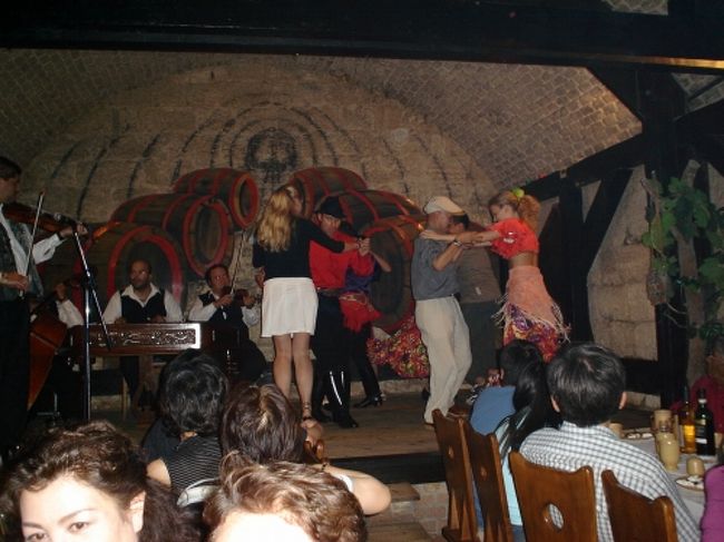 ダンスの途中にお客様が舞台に上げられ、<br />一緒に踊ったりと、見ているだけではありません。<br />