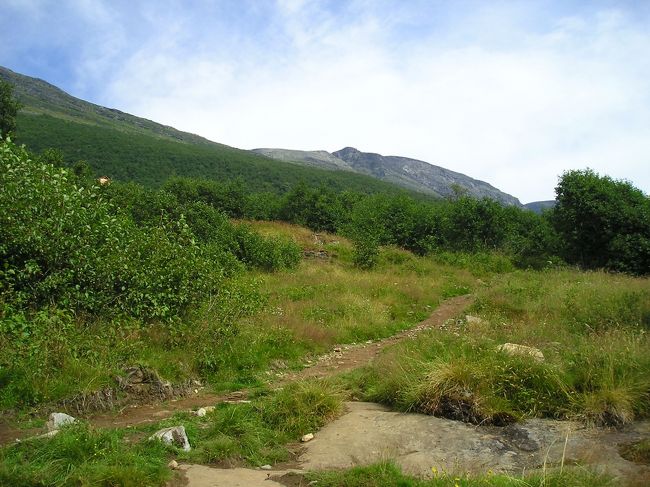 急な上り坂を過ぎてこのような見晴らしがよい所に来るとホッとします。