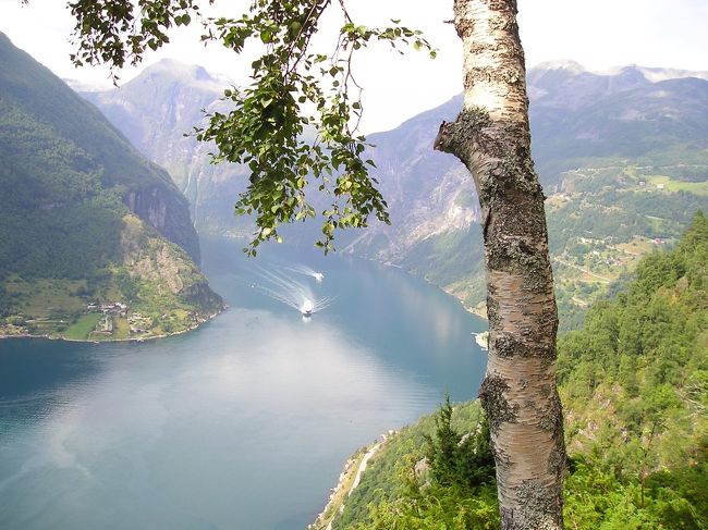 大型フェリーが入ってきています。<br /><br />白樺の木も、なぜかいいものです。