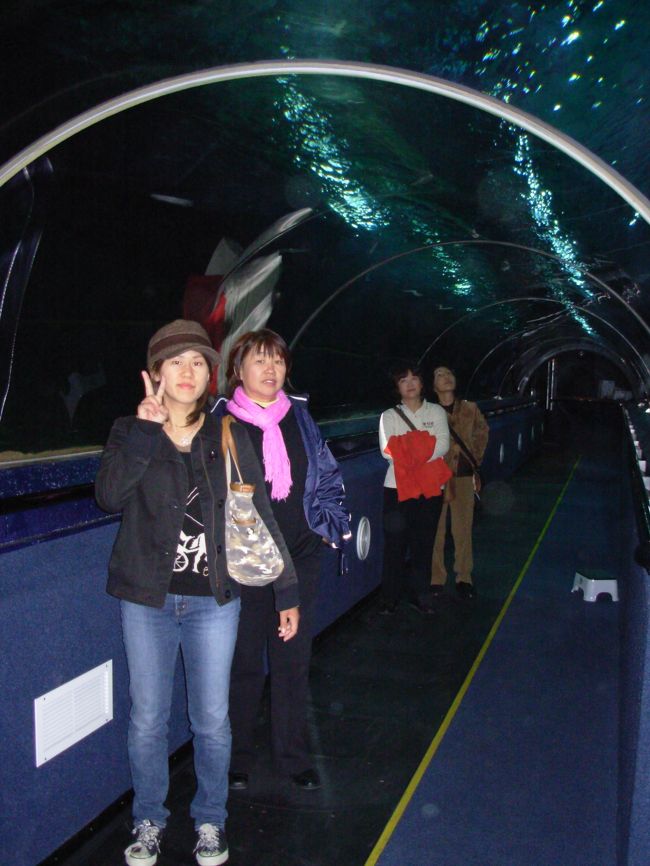 タマキドライブの途中にあった水族館。南極探検の歴史を語る品々が展示されている。ペンギンが間近で見られて一見？の価値。