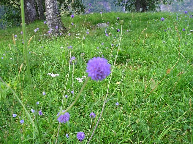 ホテル周辺は自然そのもの