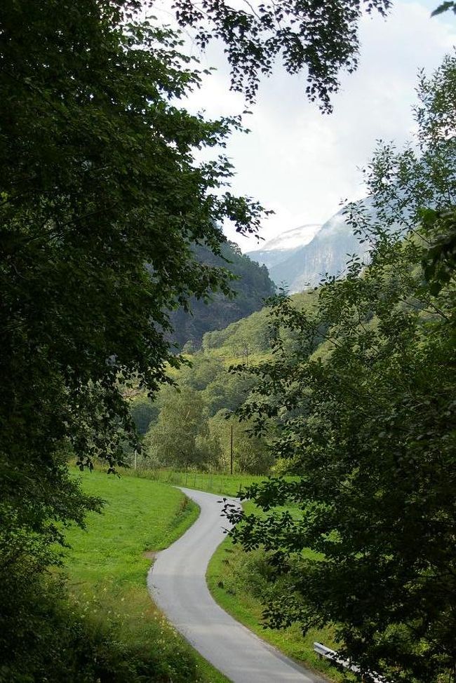 FlamからDalsbotnへ電車でさかのぼって、そこからFlamまでハイキングで戻ります。<br />３つ目の駅のはずが、２つ目の駅をふつう〜に通過。不安だったけど、一応検札に来ていたから、ちゃんと止まってくれました。ほっ。<br />こんな中途半端なハイキングする人がいないらしくって降りたのは私一人でした。きっとみんな「こんなとこで降りてどうするんだ？」って思っただろうな。<br /><br />この写真は駅を降りたところです。向こうの山には万年雪が見えます。だれもいなくて気持ちいい、けど、ちょっと不安も。。。