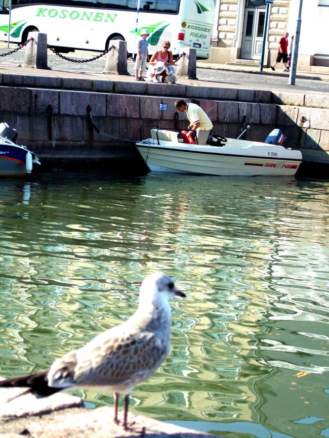 フィンランドは森と湖のイメージでしたが首都ヘルシンキは海の町だということが、映画「かもめ食堂」を見た後、わかりました。<br />さっそく港を歩くとたくさんのかもめくんたちと遭遇。<br />日本でいえばカラスかハトみたいな感じでかもめが闊歩しております。