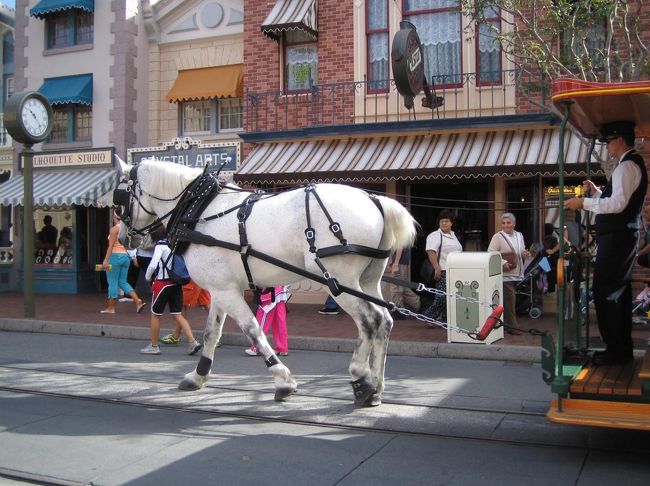 馬車も走っている。<br />引いているのは白馬ってとこがおとぎ話チックでディズニーランドらしい。