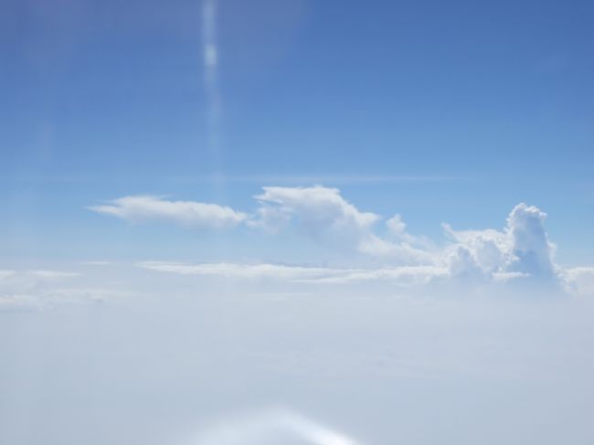 毎回撮ってしまう、機内からの写真。<br />夏らしい雲が出てました。