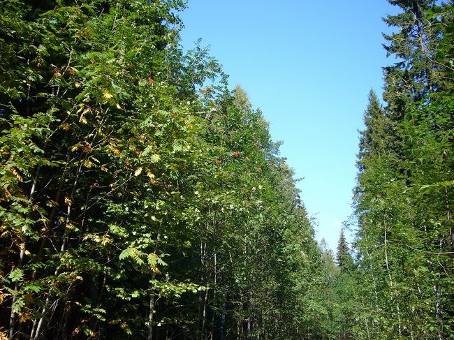 午後、いよいよヌークシオ国立公園へ！<br /><br />