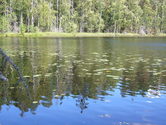 残念ながら、公園のトレードマークのムササビは見れませんでした。あ！夜行性だからかな…