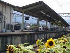 秩父駅です。
向日葵が何とも夏を感じさせます。この日はホントに暑かったぁ