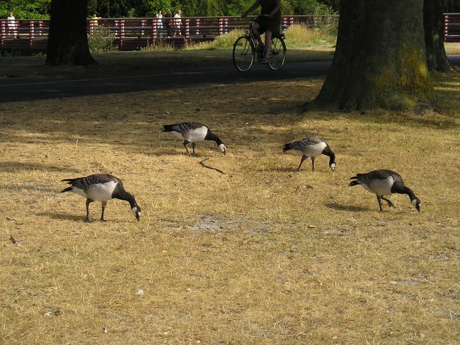 こちらは、お食事中