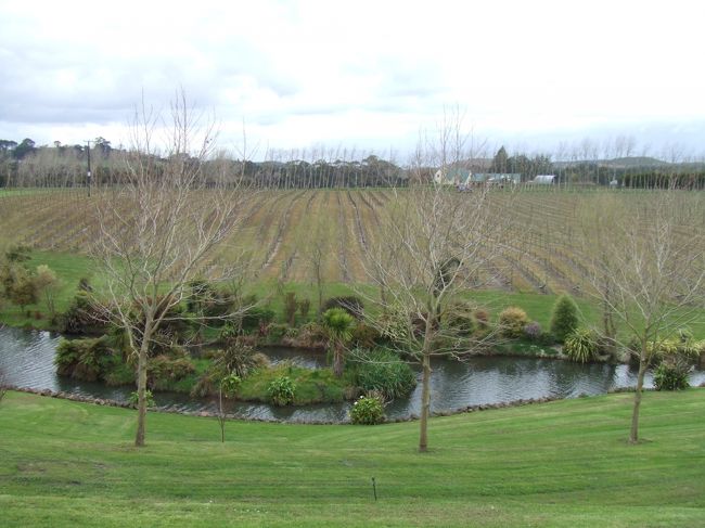 ワイナリー近くにはブドウ畑が広がっています。<br />今は季節はずれなので何もありません。。。