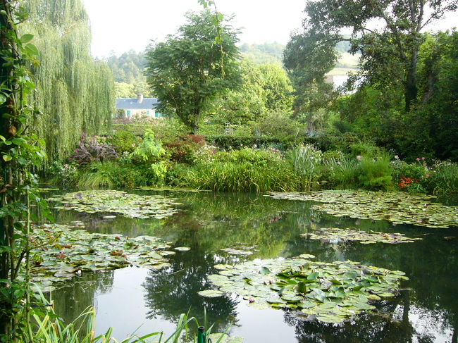 ここは画家のモネが愛し，長年に渡り住みかにしていたジベルニーの家の庭です。広いですね〜もともとこのような池があったわけではなく，小川を広げたそうです。