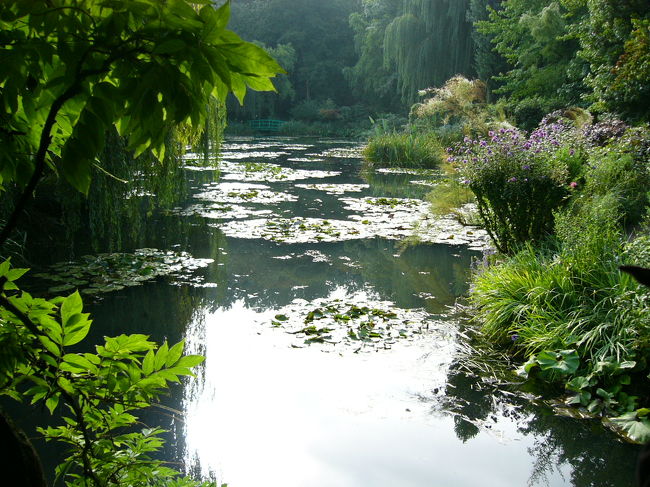 この池がモネの代表作「睡蓮」のモデルになりました。この景色は日本橋と呼ばれる橋から撮りました。モネは大の日本びいきで家の中には浮世絵がたっくさん！浮世絵をあんなに見たのははじめてでした。こんなところで日本に会えるとは・・・