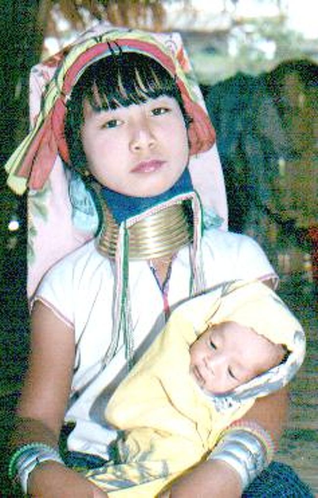 アカ族 帽子 タイ北部地方 コレクション