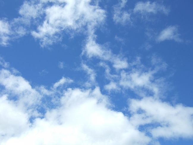 新庄駅では時間がかなりあった(50分くらい)ので、<br />少し改札の外に出てぶらぶら。<br />こんな感じで、いい天気でした。<br />