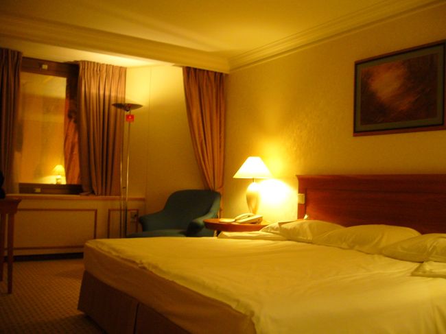 フランクフルトから1時間半。<br />やっとブダペストへ到着。<br />空港からはミニバスに乗って今回のお宿ヒルトンへ。<br /><br />4階のお部屋をアサインされた。<br />開けてみると・・・<br /><br />まぁ、ふつう。