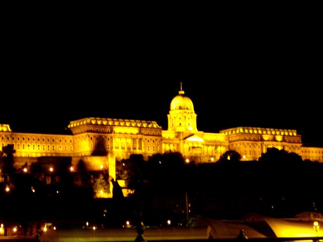 光り輝く王宮。<br /><br />本当に光り輝いてる〜。