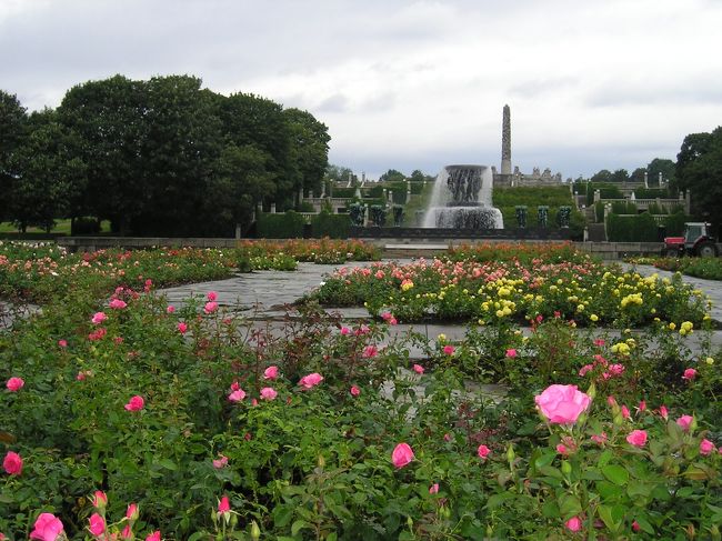 バラがとってもきれいでした。