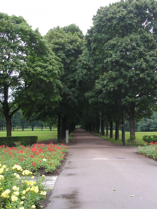 左右にも広がっています。