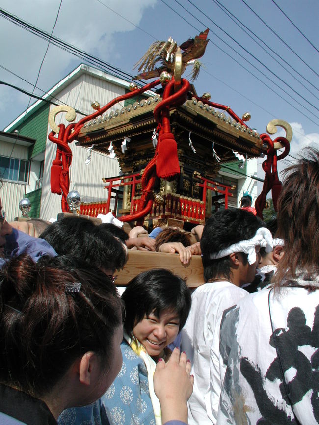 ぶら下がっても担ぎたい。
