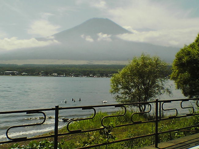 富士山が見えた・・<br />山中湖ほとり・・