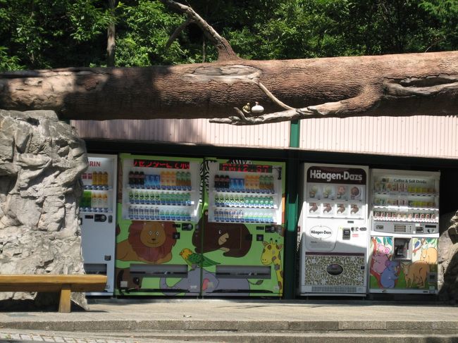 自販機にも動物のペイント。大木も。<br />ハーゲンダッツが売ってて、<br />普段食べないけど食べたくなってしまい購入。