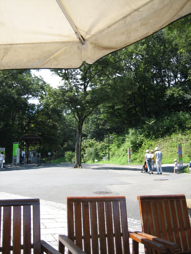 坂道だらけだけど、割りと涼しい風もあって爽快。