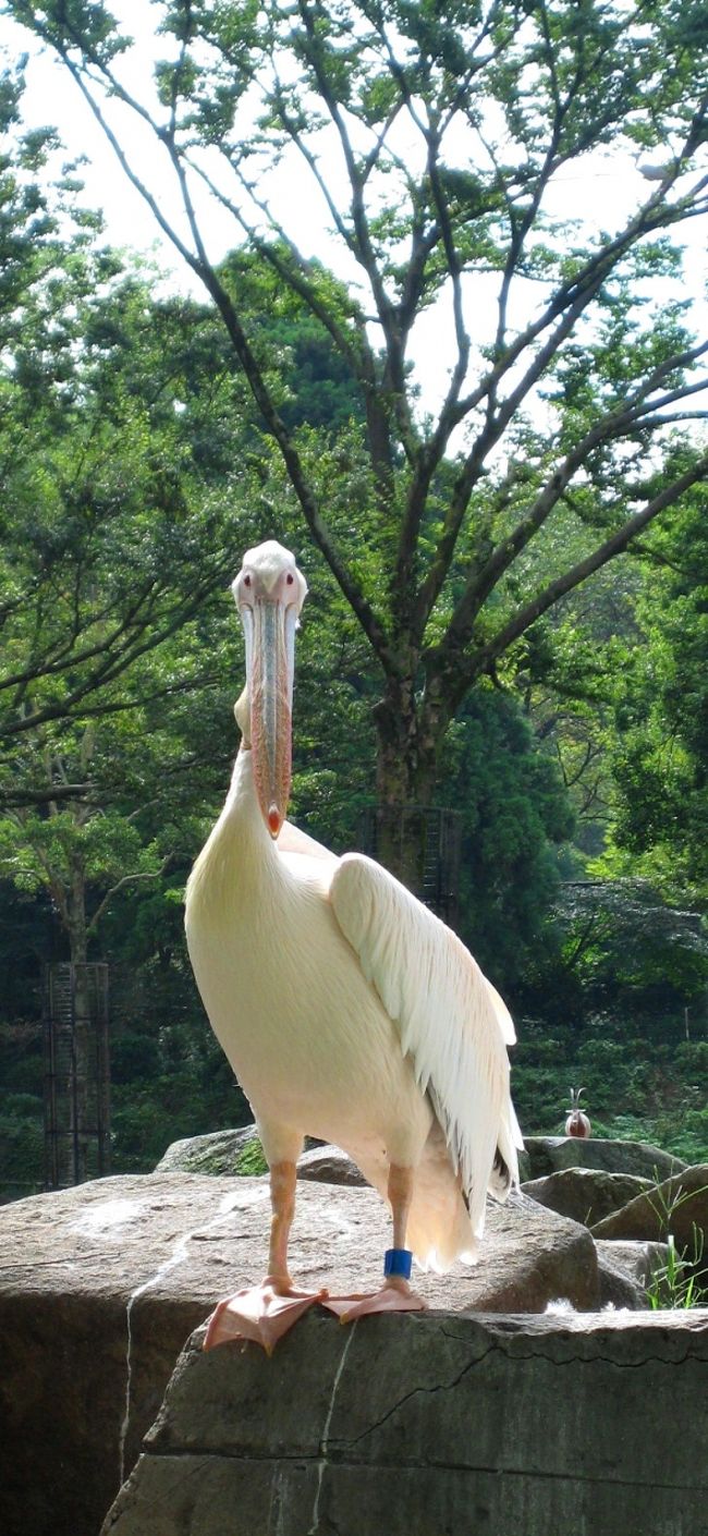 何よ。って言ってる？