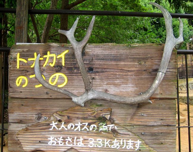 すべすべでした。