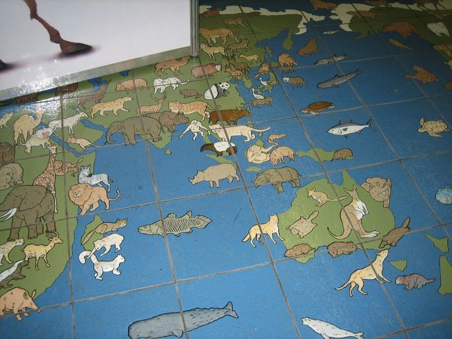 床にこんな地図が。