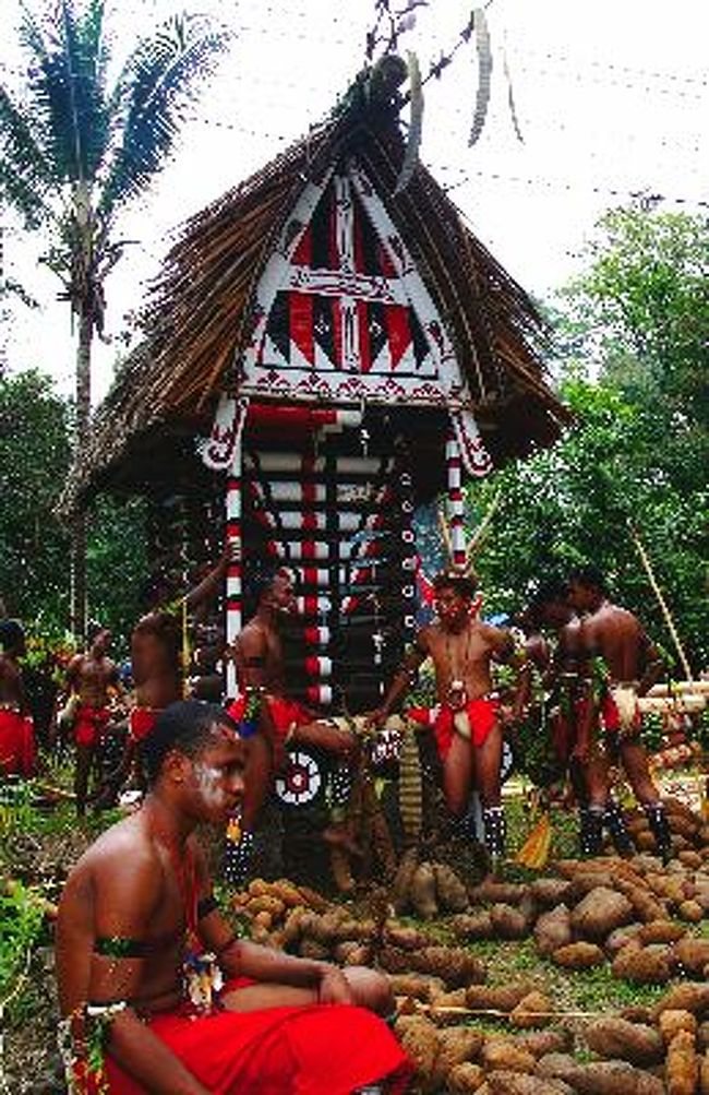 最後の楽園 アロタウ パプアニューギニア アロタウ パプアニューギニア の旅行記 ブログ By Gwiouさん フォートラベル