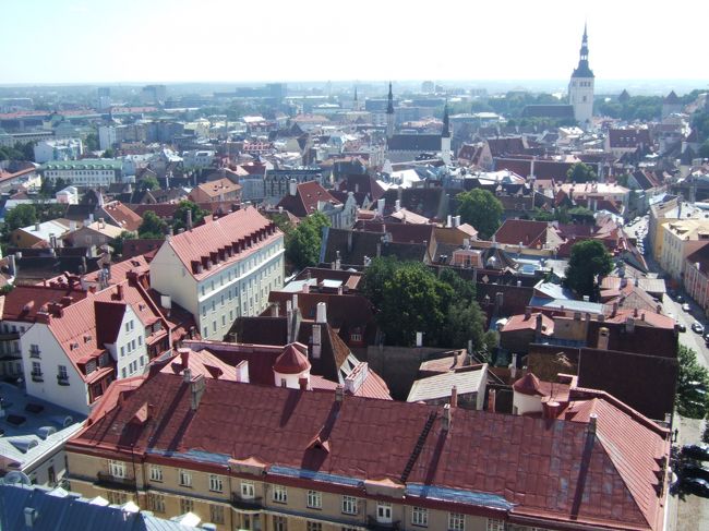 　塔から見下ろした風景。ミニチュアの町並。