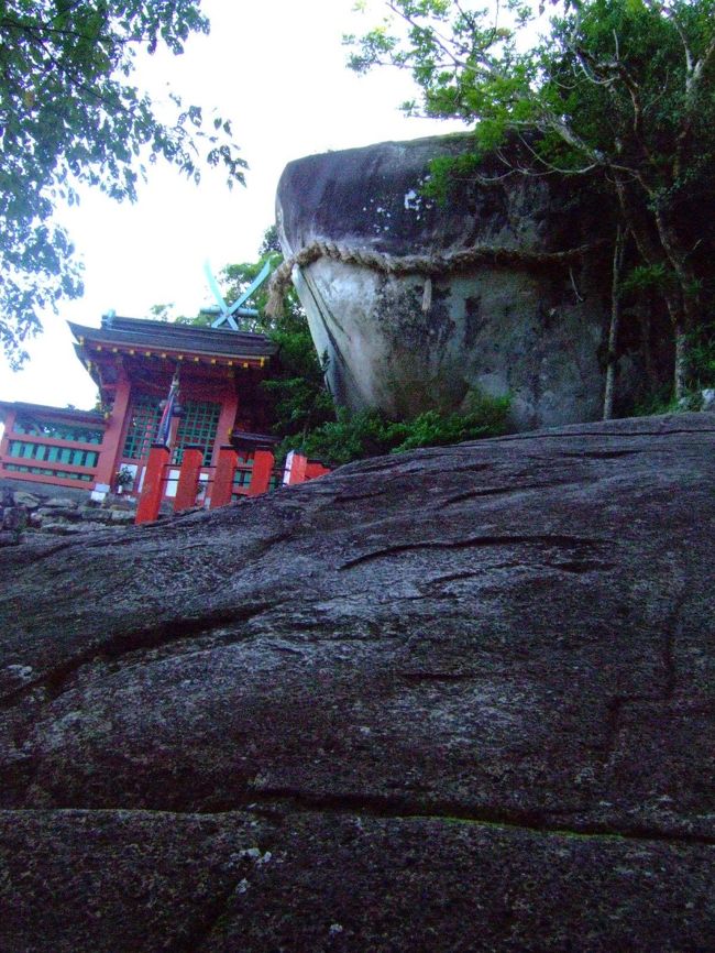 おおっ！あれが…