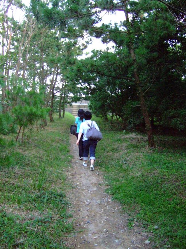 そして防風林を抜けると…