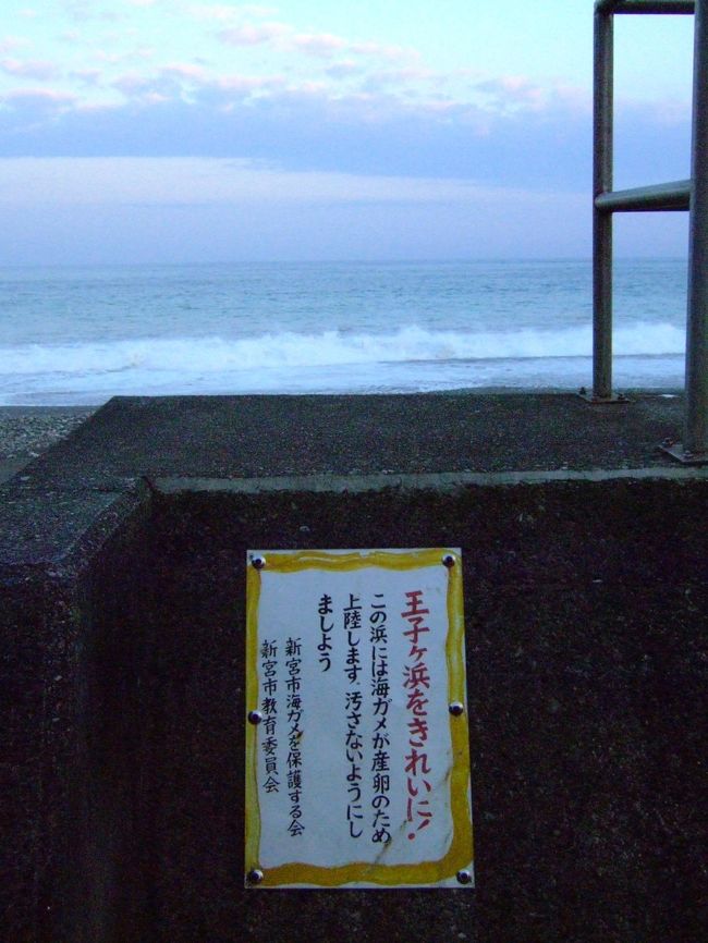 海亀が産卵に訪れる場所らしい。<br /><br />子馬の誕生とともに、感動の動物エピソードベスト3に挙げられるあの泣ける光景が、ここでも見られるんですね。