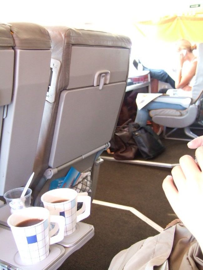 　リンダラインは瀬戸内海を結ぶ高速艇に似てる。。<br />　リンダクラスは前半分の席でした（指定席ではないので自分で場所取り）。<br />　ちょっとラッキーなのが飲み物をタダでオーダーできること。っつーか、飲み物つきの席なのでしょう。<br />　ワイン頼んでる人もいっぱいいました。<br />　<br />　乗り心地は。。<br />　ヘルシンキの湾に浮かぶ島々を見ている間は本当に高速かいなと思うくらいのんびり。<br />　で、海に出たってときにすこーしだけスピードが出ました。<br />　<br />　問題は帰り。ゆれた、ゆれた！　<br />　ひたすら寝ていました。なかなかしんどいです。ゆれが嫌いなら時間がかかってもフェリーとかのほうがいいかもしれません。<br />　（船を下りて帰るときに気がついたのが、運賃が高かったノルディックジェットラインはリンダラインより船体がでかかった！！　あれならゆれにくいかも）