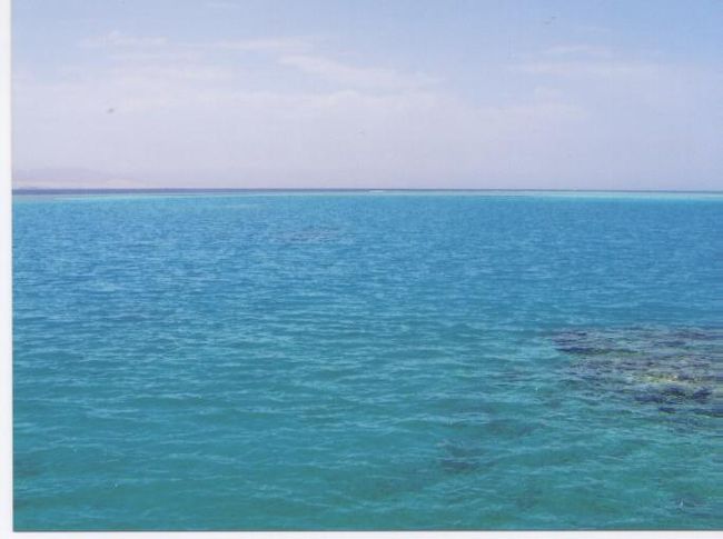 リーフが見えます！すごい透明度o(＠＾◇＾＠)o１日目は天候に恵まれなかったけど今回はすごい快晴☆