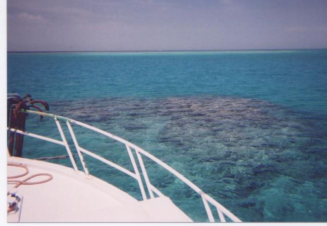 ボートを停めて、これからランチタイムです(*^▽^*)