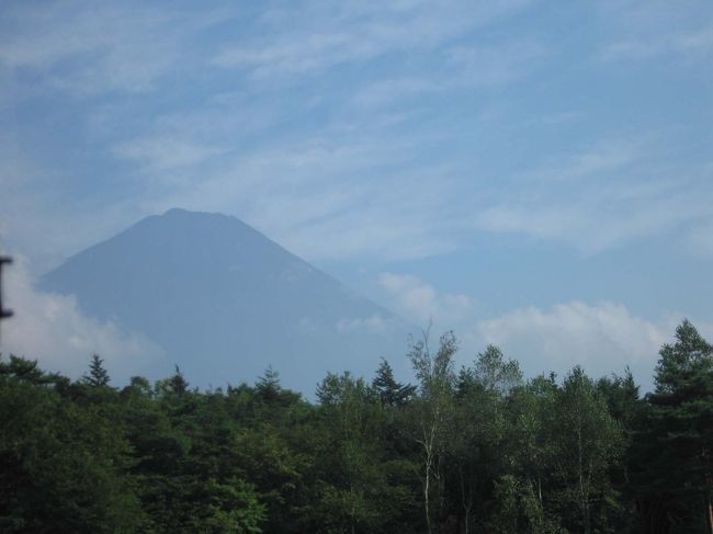 西湖野鳥の森にて、富士山がうっすらとですが見えました！