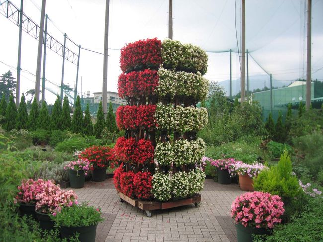 ハーブ館の庭にもお花がいーっぱい咲いてました。ここ以外にも、夏なのにあちこちで綺麗な花が咲いていて、お花の風景をたくさん楽しめました。